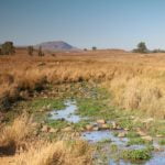 golan-heights-aug-15